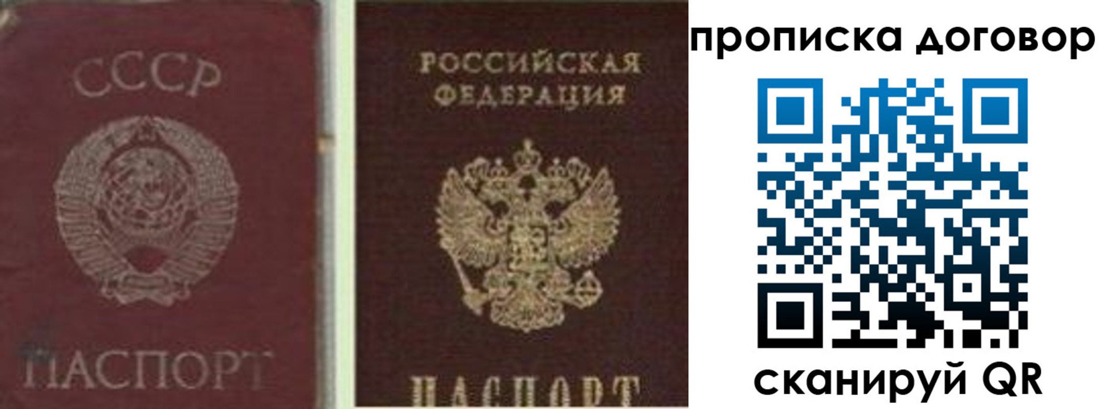 прописка гарантия в Петрозаводске